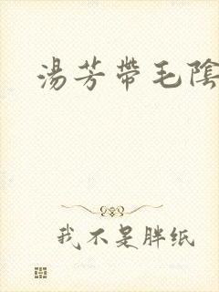 汤芳带毛阴部封面