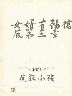 女婿有劲枪枪到底第三章