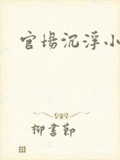 官场沉浮小说封面