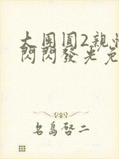 大团圆2亲情会闪闪发光免费封面