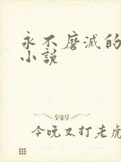 永不磨灭的番号小说