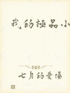 我的极品小姨封面