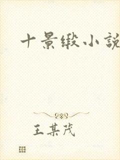 十景缎小说封面