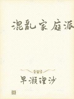 混乱家庭派对封面