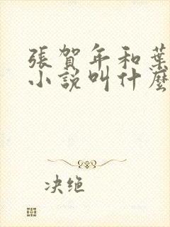 张贺年和叶繁姿小说叫什么名字