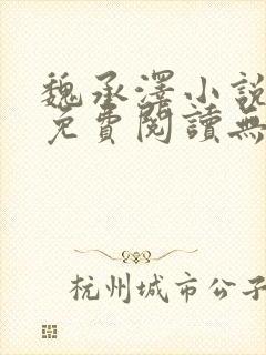 魏承泽小说全文免费阅读无弹窗笔趣