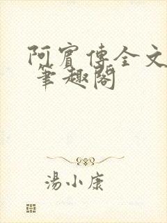 阿宾传全文阅读 笔趣阁封面