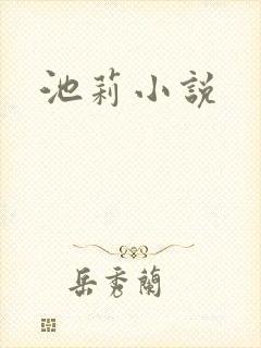 池莉小说