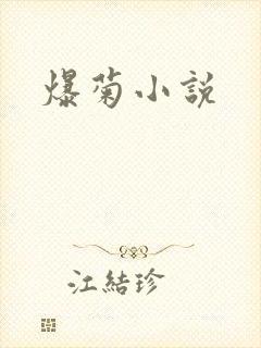 爆菊小说