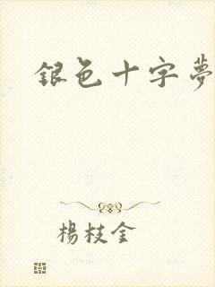 银色十字梦封面