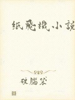 纸飞机小说