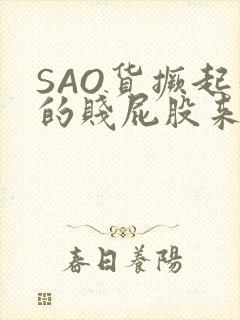 SAO货撅起你的贱屁股来