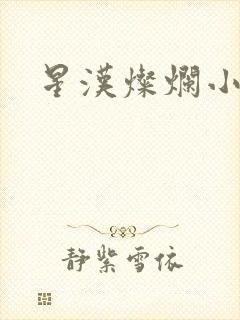 星汉灿烂小说