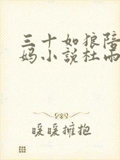 三十如狼陪读妈妈小说杜雨馨封面