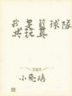 我是篮球队的公共玩具封面