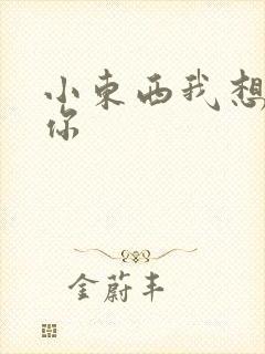 小东西我想弄坏你