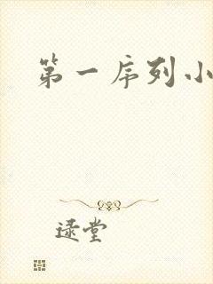 第一序列小说封面