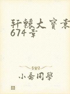 轩辕大宝袁雪妃674章