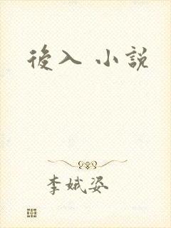 后入 小说