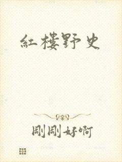 红楼野史