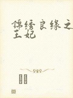 锦绣良缘之北地王妃