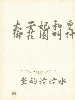 太子妃和皇帝在御花园叫什么小说