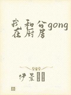 我和公gong在厨房