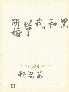 所以我和黑粉结婚了