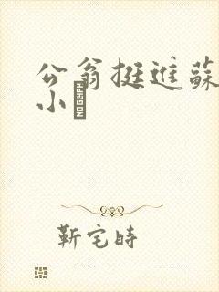 公翁挺进苏玥的小泬