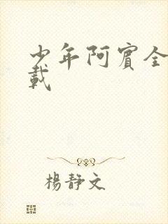 少年阿宾全集下载