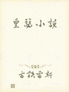 皇瑟小说封面