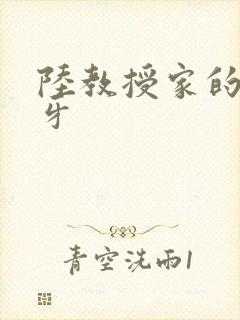 陆教授家的小月牙