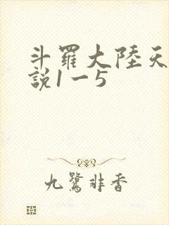 斗罗大陆天狂传说1一5