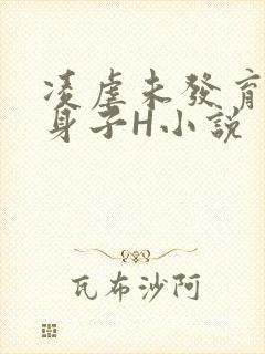 凌虐未发育的小身子H小说