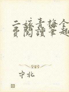 二嫁青梅全文免费阅读笔趣阁封面