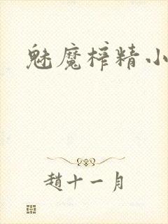 魅魔榨精小说封面