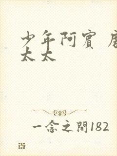 少年阿宾 房东太太