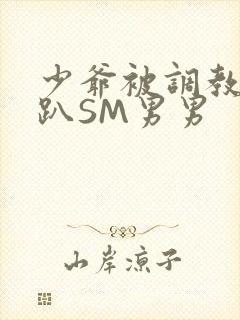 少爷被调教室跪趴SM男男封面