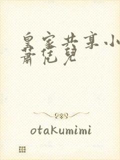 皇家共享小公主萧凭儿