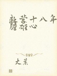 敌营十八年2虎胆雄心