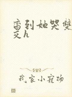 脔到她哭双根宫交h