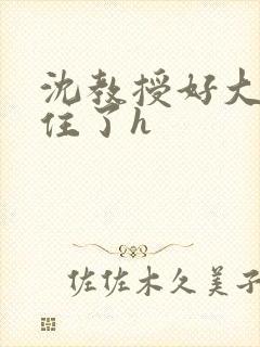 沈教授好大含不住了h