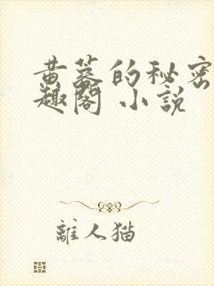 黄蓉的秘密 笔趣阁 小说封面