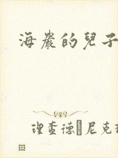 海岩的儿子