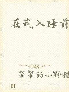 在我入睡前