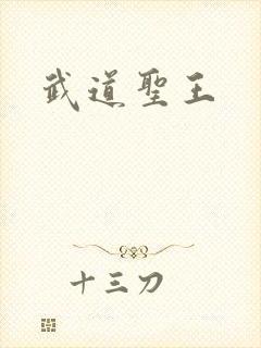 武道圣王