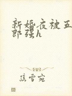 新婚夜被五个伴郎强h