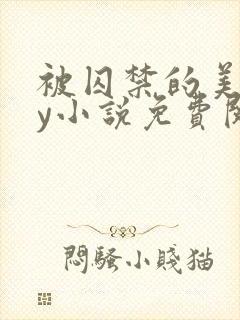 被囚禁的美人by小说免费阅读