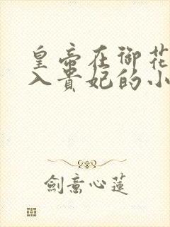 皇帝在御花园进入贵妃的小说