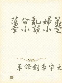 荡公乱妇第51章小说小莹